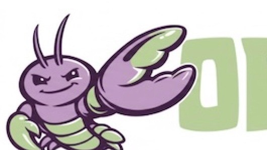 Decoding OpenClaw